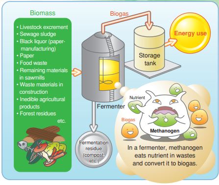 Detailed anaerobic digestion process diagram showing biomass inputs (livestock excrement, sewage sludge, food waste, agricultural products), fermenter tank with biogas production, methanogen bacteria converting nutrients to biogas for energy use, and fermentation residue compost output